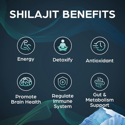 Shilajit Resina Purificada Del Himalaya - Alta Potencia Con Minerales Fúlvicos Y Ácido Húmico, 100% Vegano, Energizante Natural, 1 Paquete