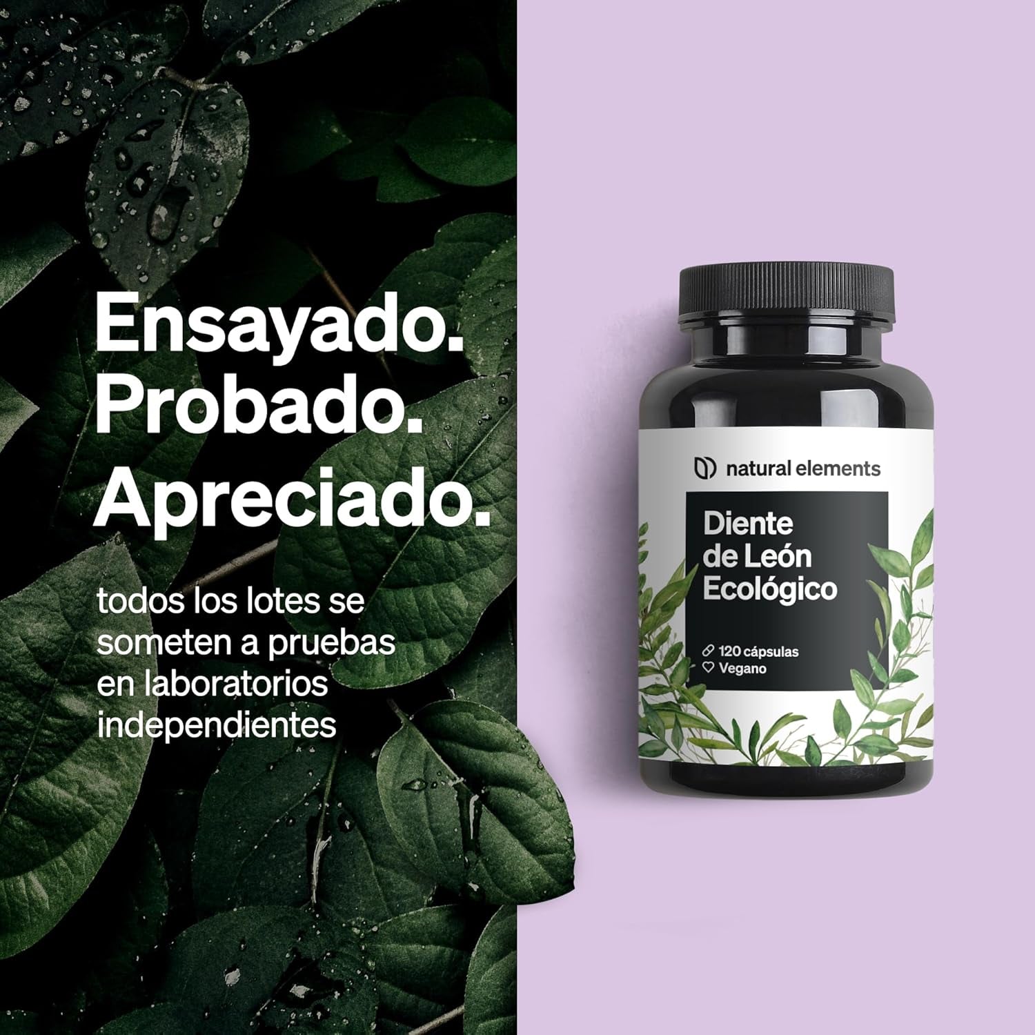 Diente De León Ecológico – 120 Cápsulas – 1.000 Mg De Extracto De Raíz De Diente De León / 2 Cápsulas – Alta Dosificación Con Relación 10 : 1 – Producto Vegano, De Alta Biodisponibilidad